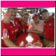 hoffenheim-fcb065.JPG